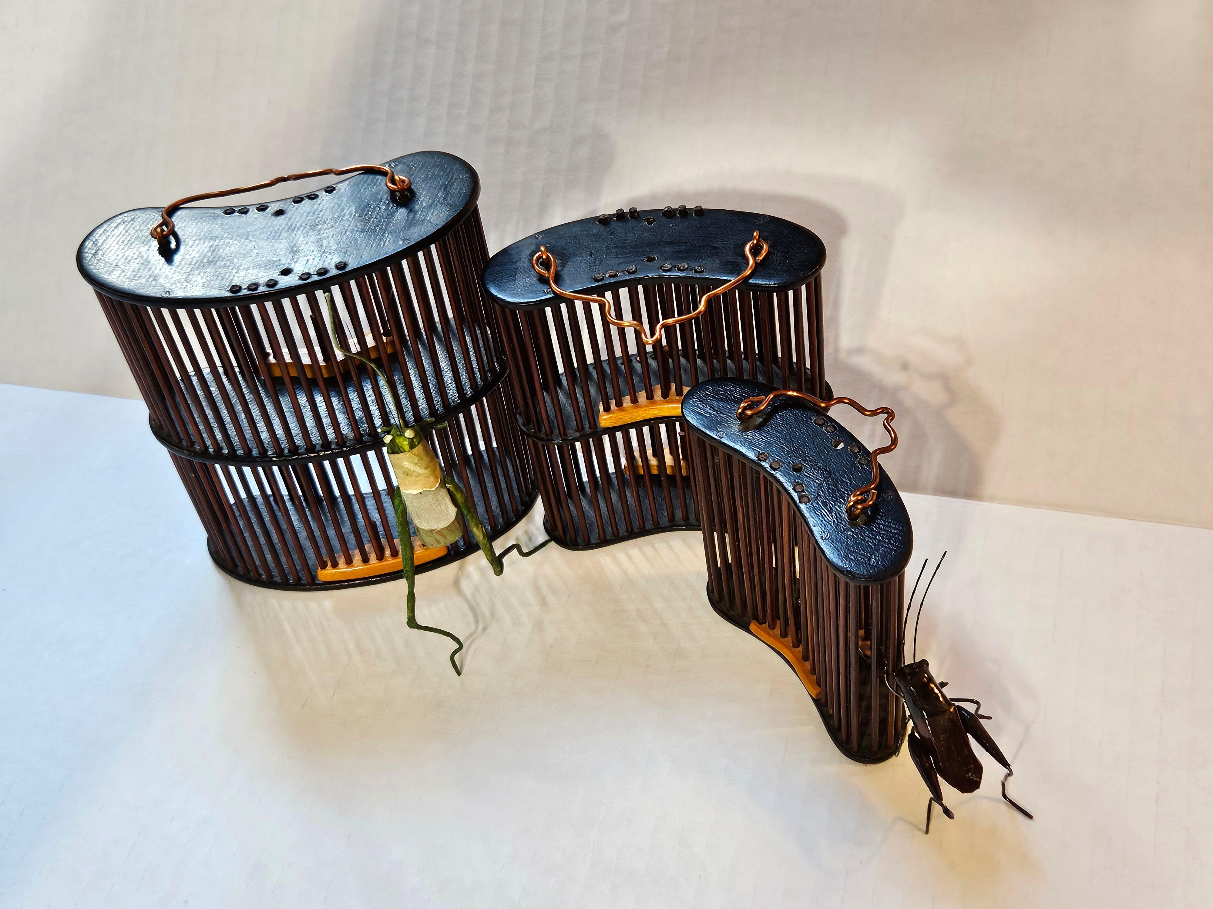 Antique 3 Chinese Bamboo Insect Cricket Cages 