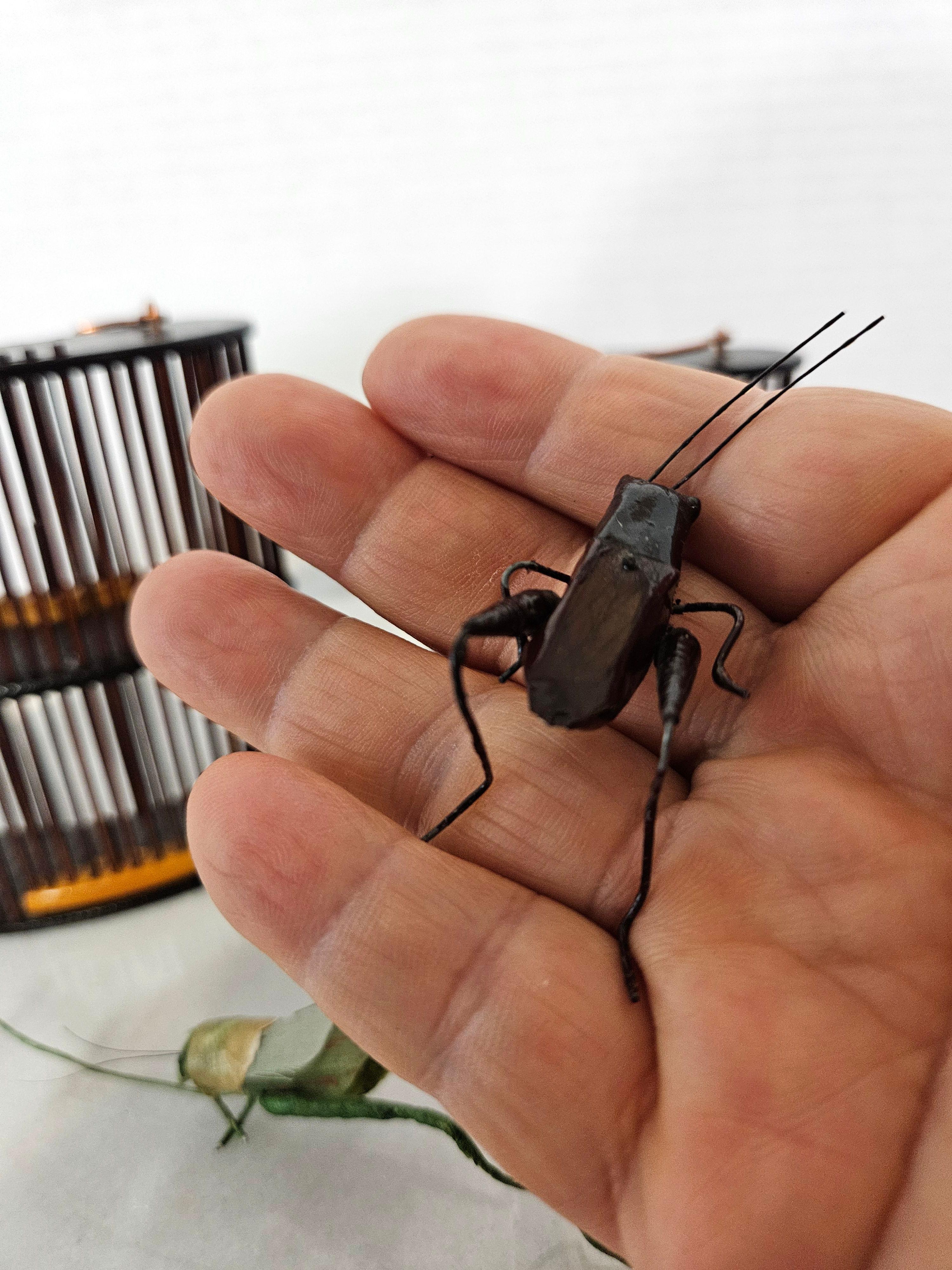 Antique 3 Chinese Bamboo Insect Cricket Cages 