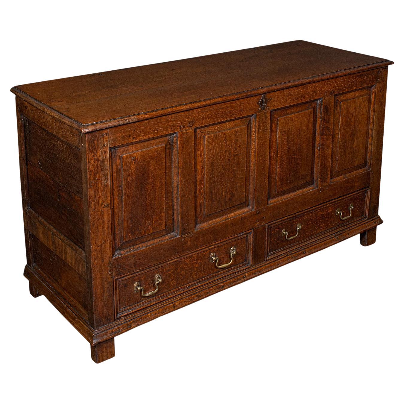Antique 4 Panel Coffer, English, Oak, Linen, Mule Chest, Country House, Georgian