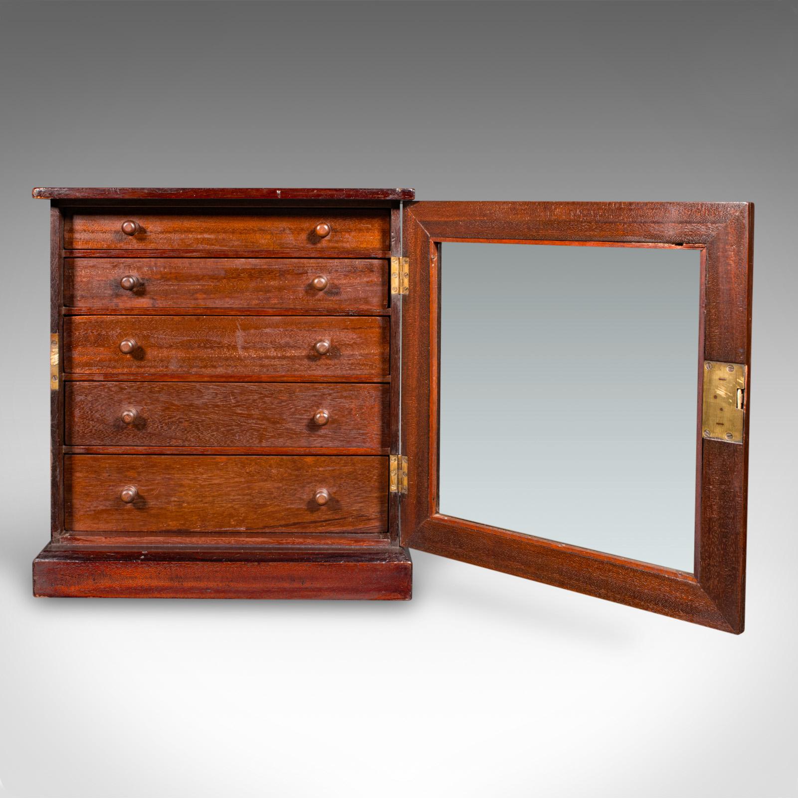 Britannico Antico mobile da collezione a 5 cassetti, inglese, espositore, vittoriano in vendita