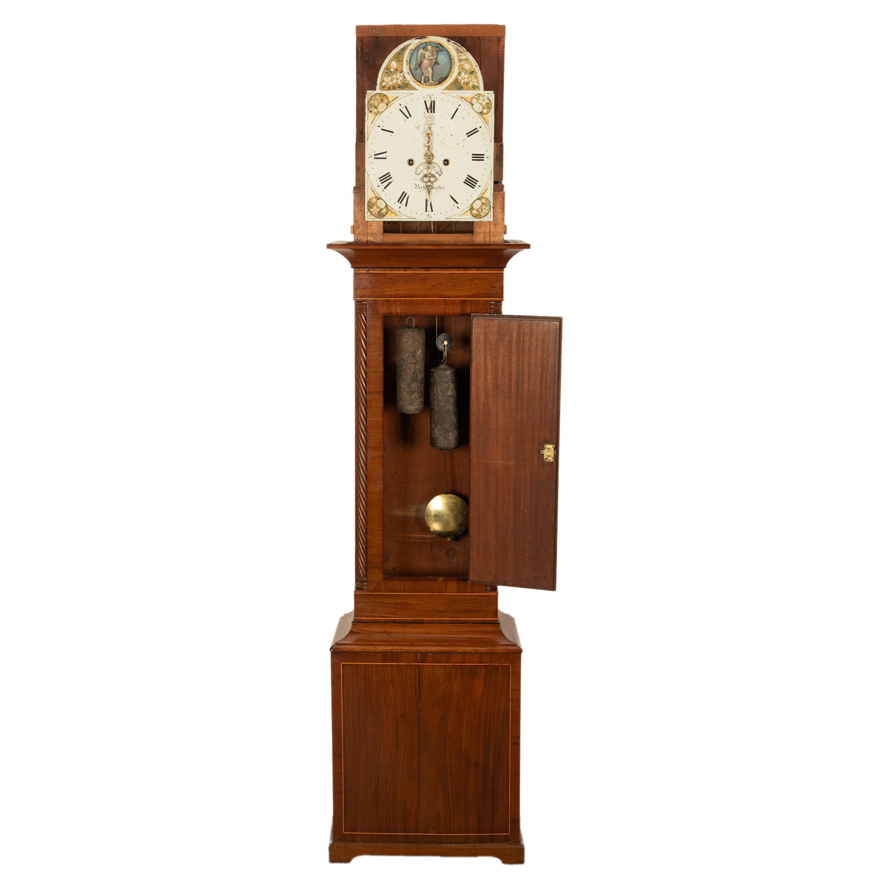 Antique 8 Day Tall Case Grandfather Clock Automaton Andrew Rich Bridgewater 1820 For Sale 3