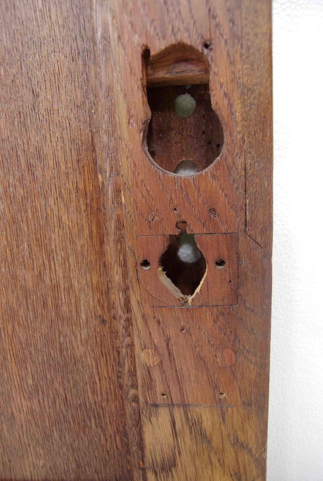 Antique 9 Pane Arts & Crafts Chestnut Privacy Door 1