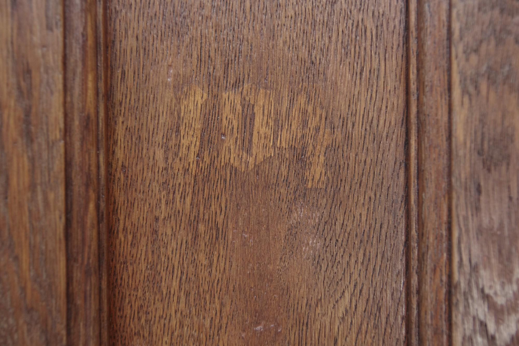 20th Century Antique 9 Pane Arts & Crafts Chestnut Privacy Door