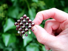 Antique 9.50 Carat Garnet and Pearl Yellow Gold Brooch, circa 1910