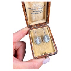 Antike 9ct Gold, Edwardian Shell Cameo & Seed Pearl Ohrstecker