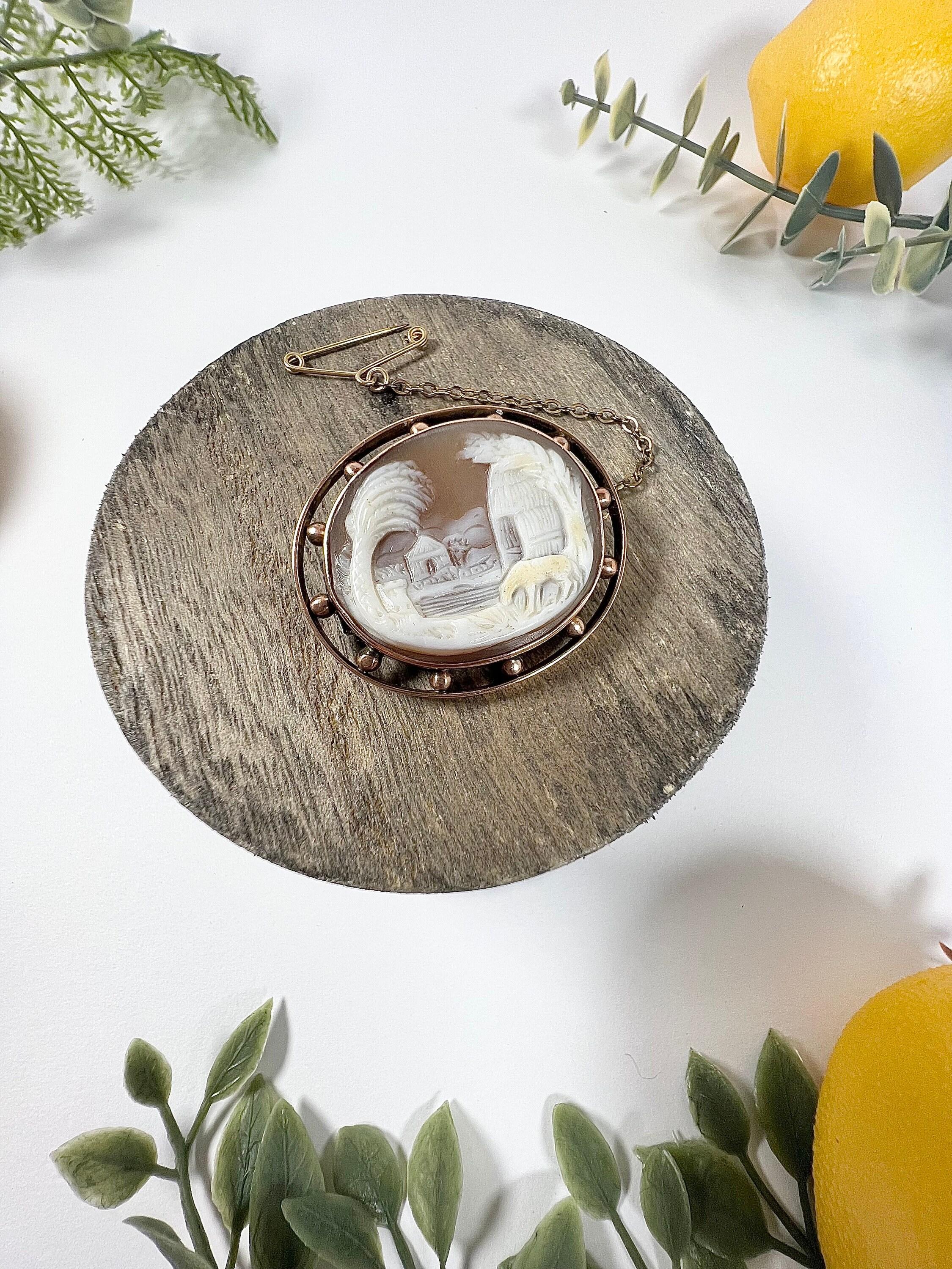 Women's or Men's Antique 9ct Rose Gold Edwardian Shell Cameo Brooch For Sale