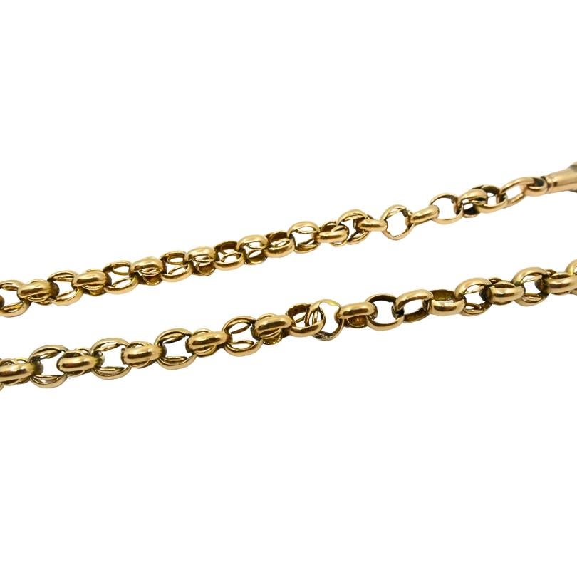 Antica collana a catena Albert Gold 9k con ciondolo di agata e pietra sanguigna in vendita 6