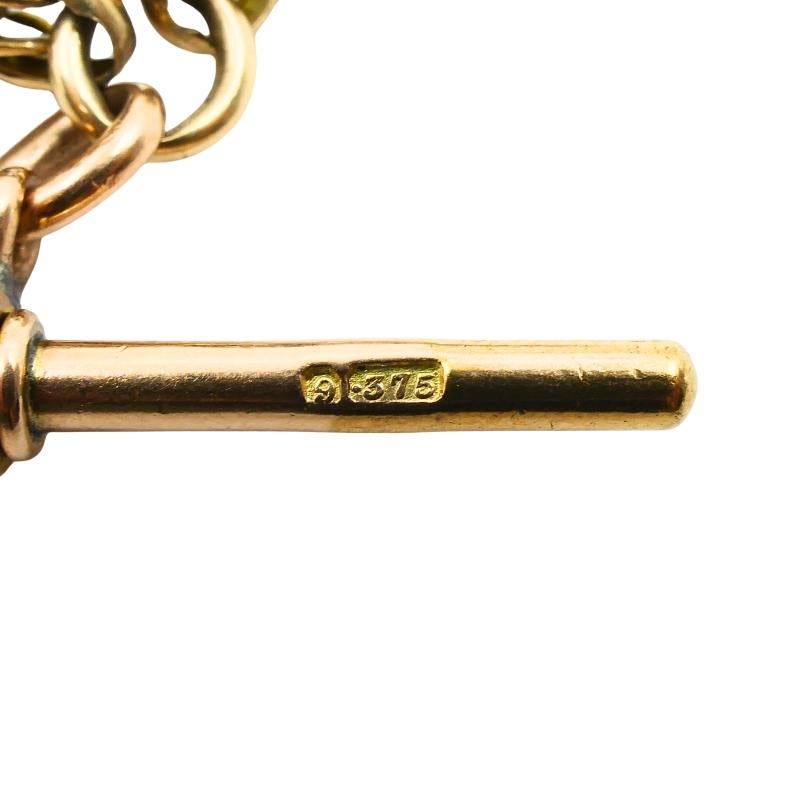 Antica collana a catena Albert Gold 9k con ciondolo di agata e pietra sanguigna in vendita 7