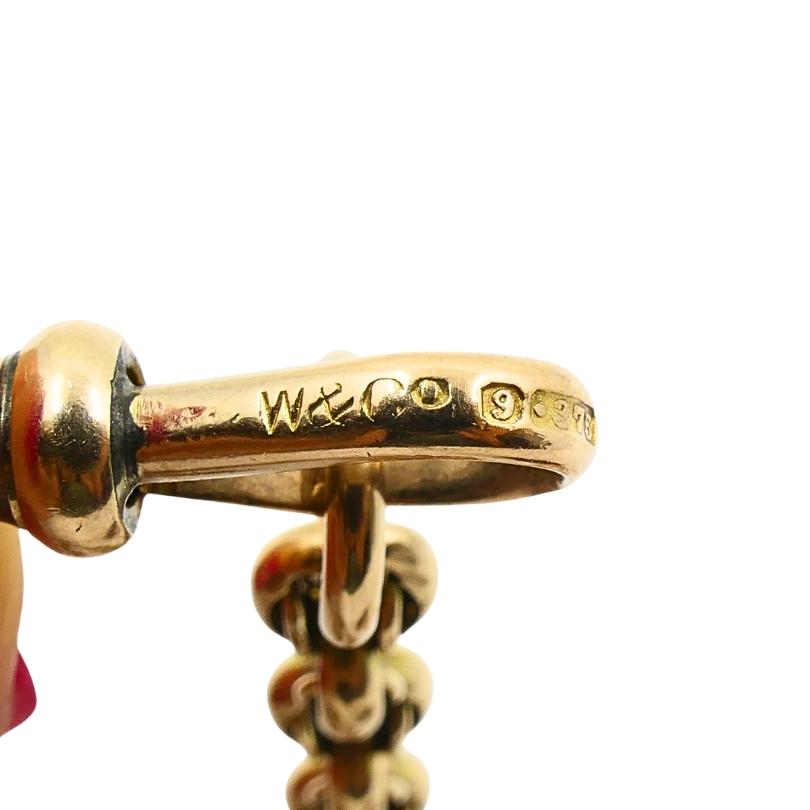 Antica collana a catena Albert Gold 9k con ciondolo di agata e pietra sanguigna in vendita 8