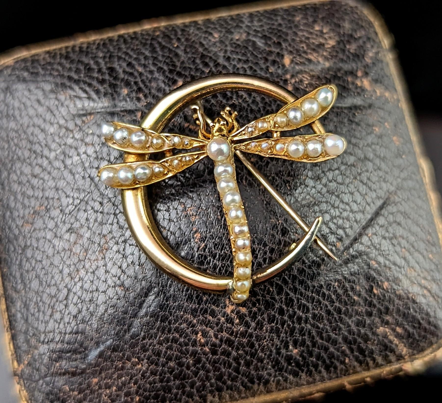 A gorgeous antique, late Victorian, 9ct gold and pearl crescent and Dragonfly brooch.

A beautiful closed crescent in rich 9ct yellow gold with a wonderful pearl set dragonfly sat across the moon.

This is really a piece packed with symbolism with