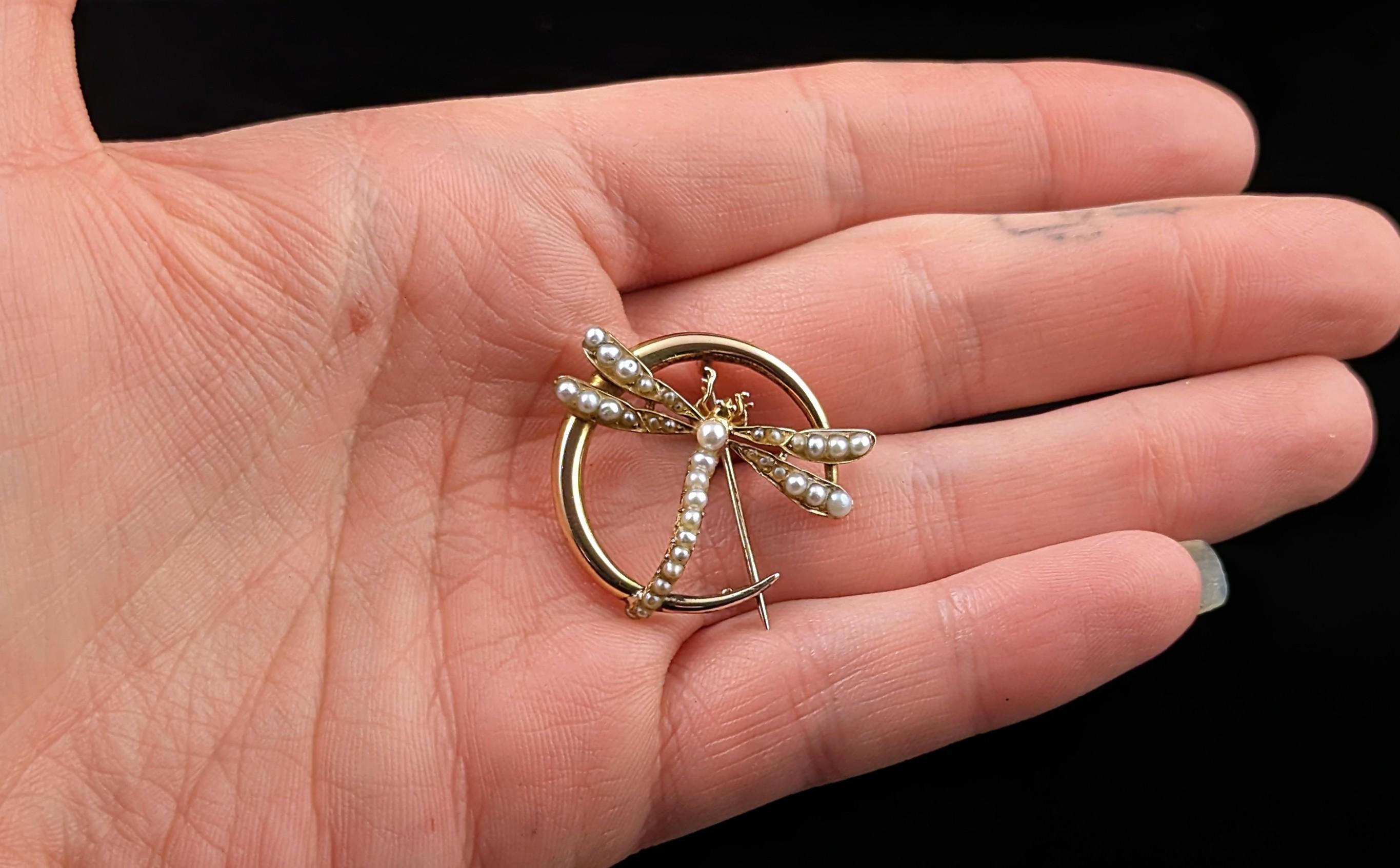 Victorian Antique 9k gold Crescent moon and Dragonfly brooch, Pearl  For Sale