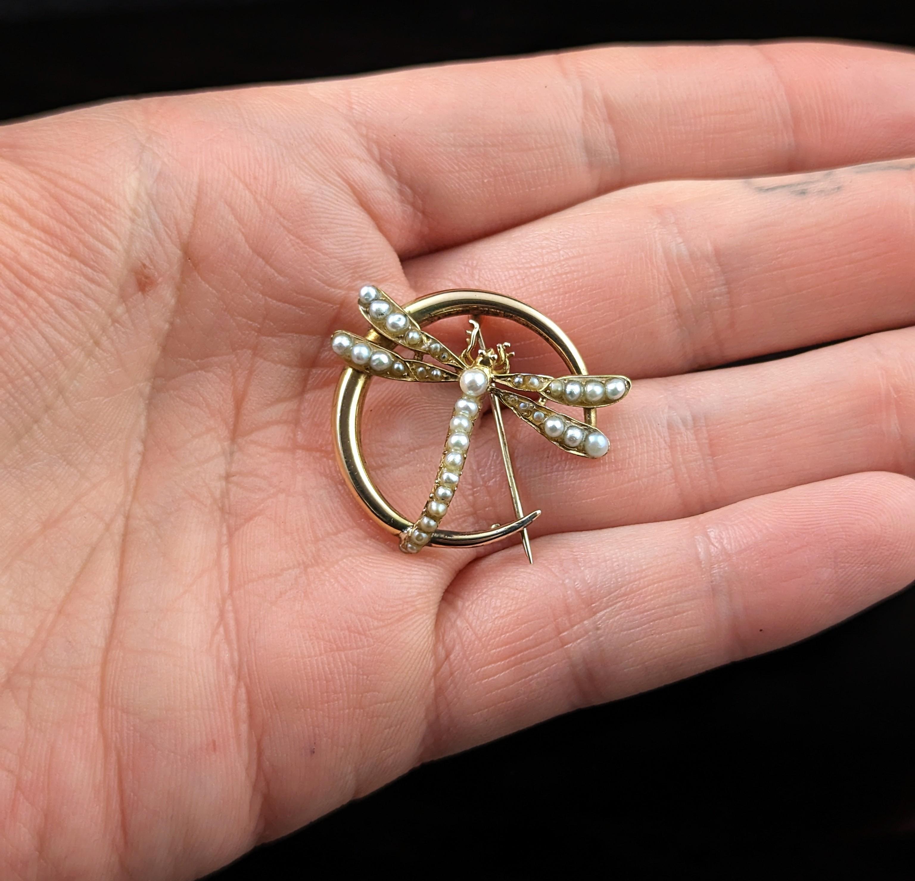 Cabochon Antique 9k gold Crescent moon and Dragonfly brooch, Pearl  For Sale