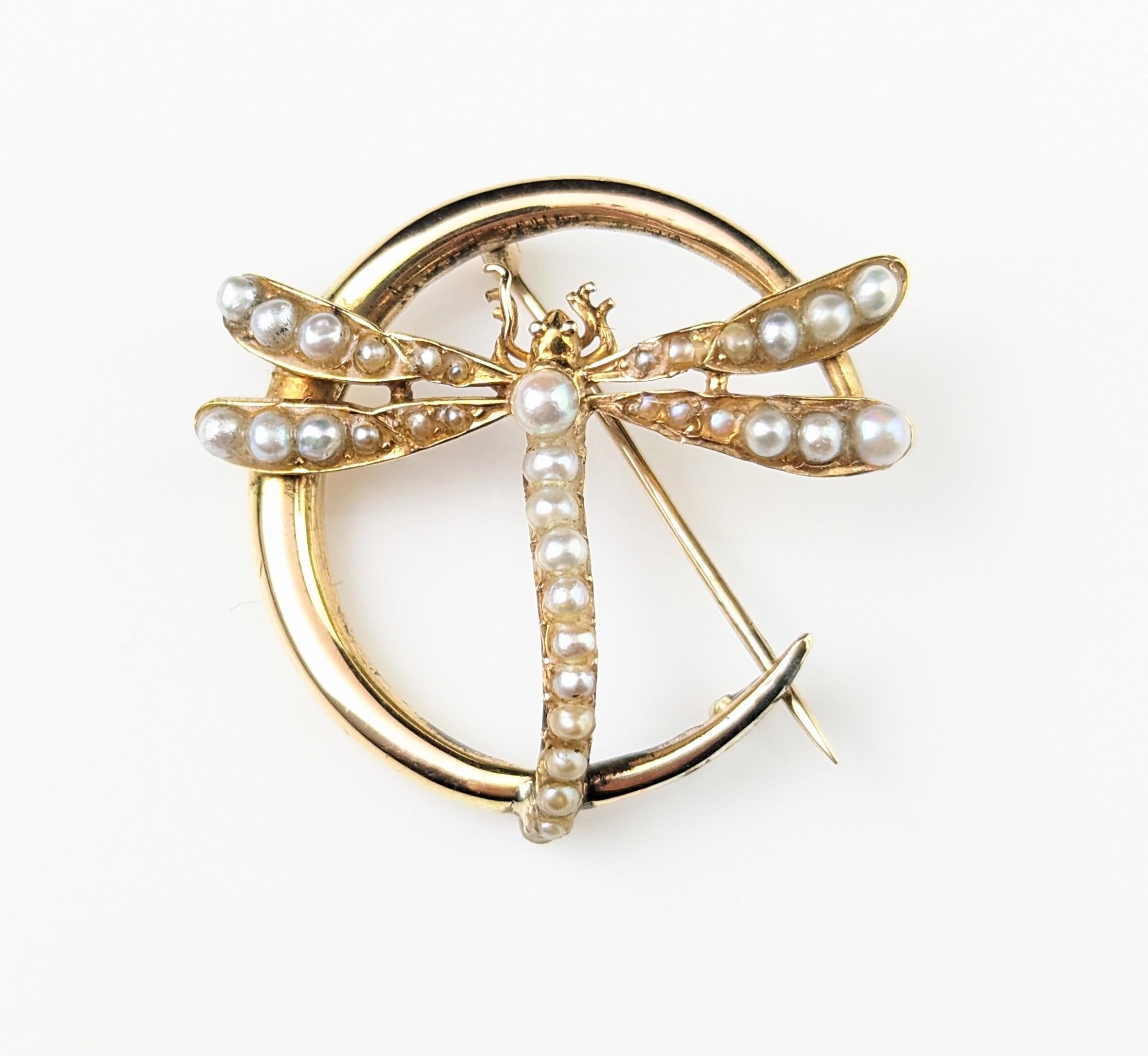 Antique 9k gold Crescent moon and Dragonfly brooch, Pearl  In Good Condition For Sale In NEWARK, GB
