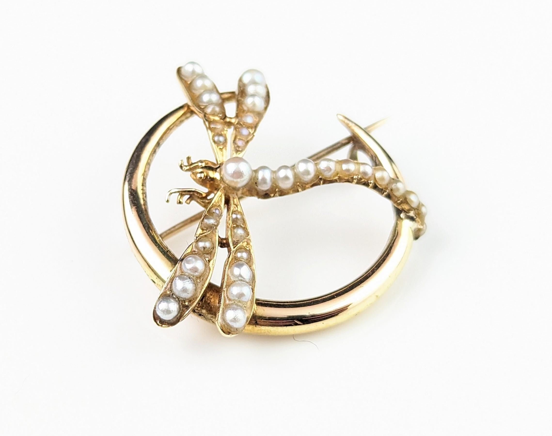 Antique 9k gold Crescent moon and Dragonfly brooch, Pearl  For Sale 1