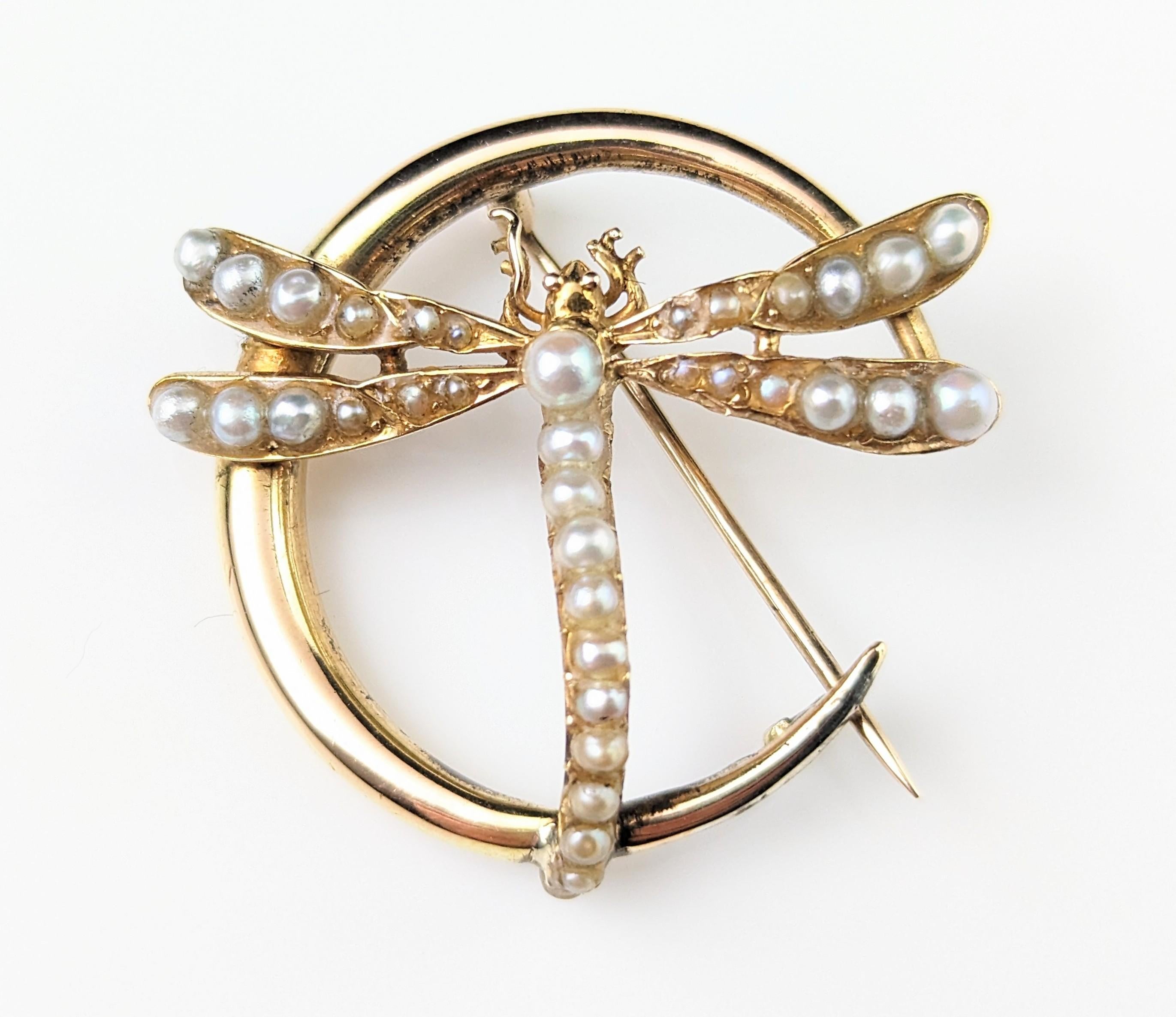 Antique 9k gold Crescent moon and Dragonfly brooch, Pearl  For Sale 2