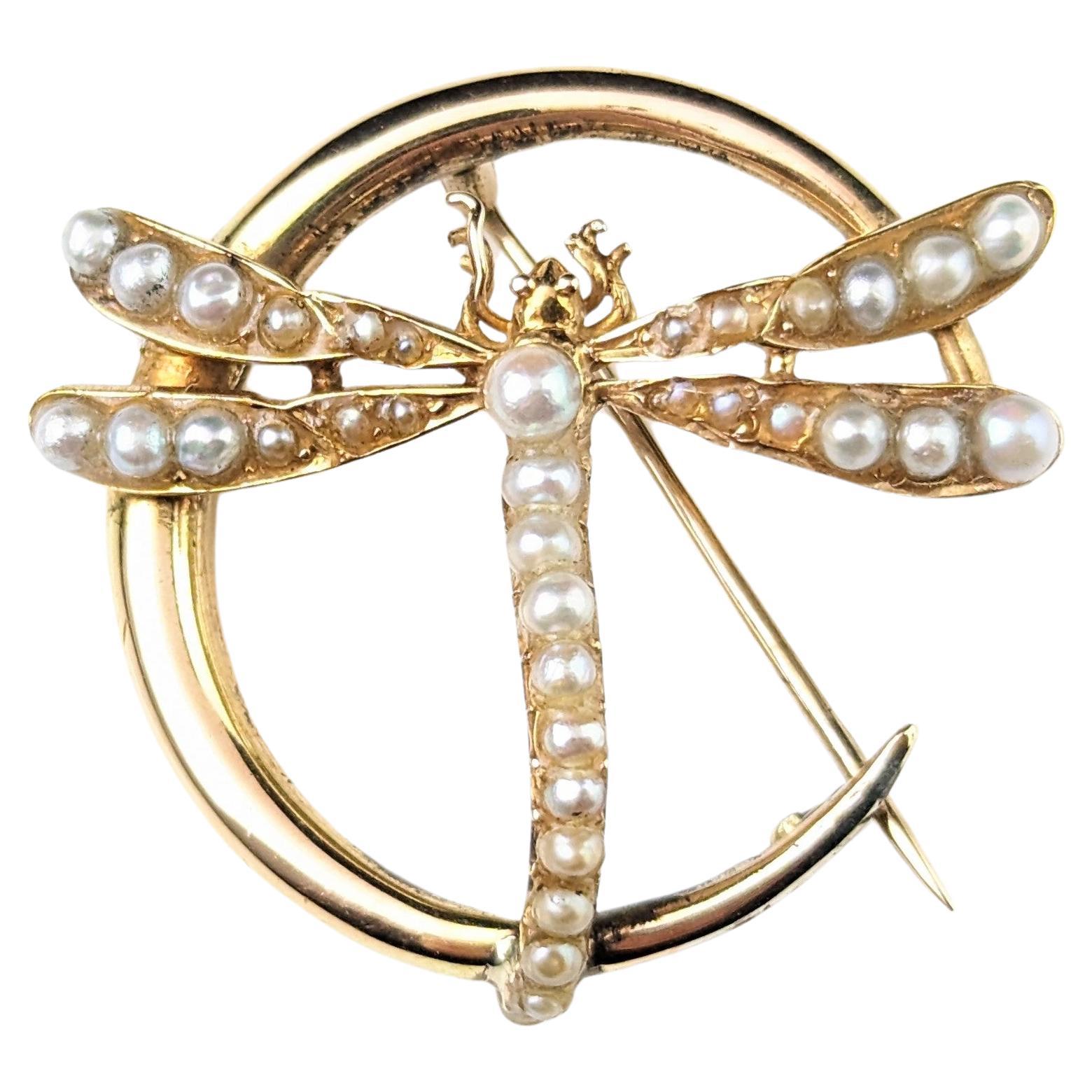 Antique 9k gold Crescent moon and Dragonfly brooch, Pearl  For Sale