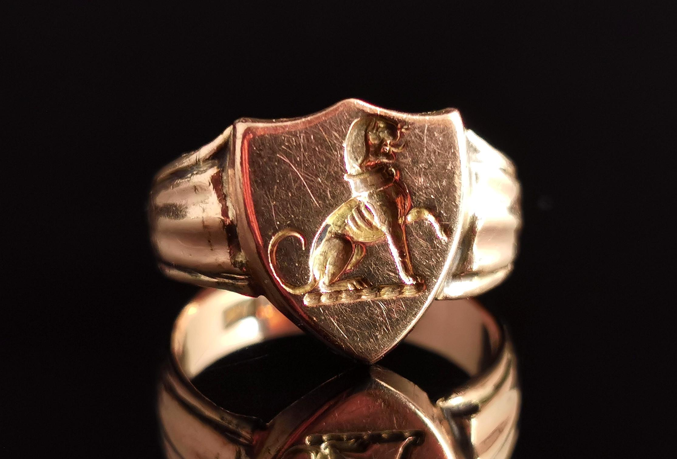 A handsome and regal antique 9kt yellow gold Signet ring.

This is a shield shaped signet ring which lends its shape well to the regal heraldic lion that is sat, paw lifted, deeply engraved into the shield face.

The lion has historically