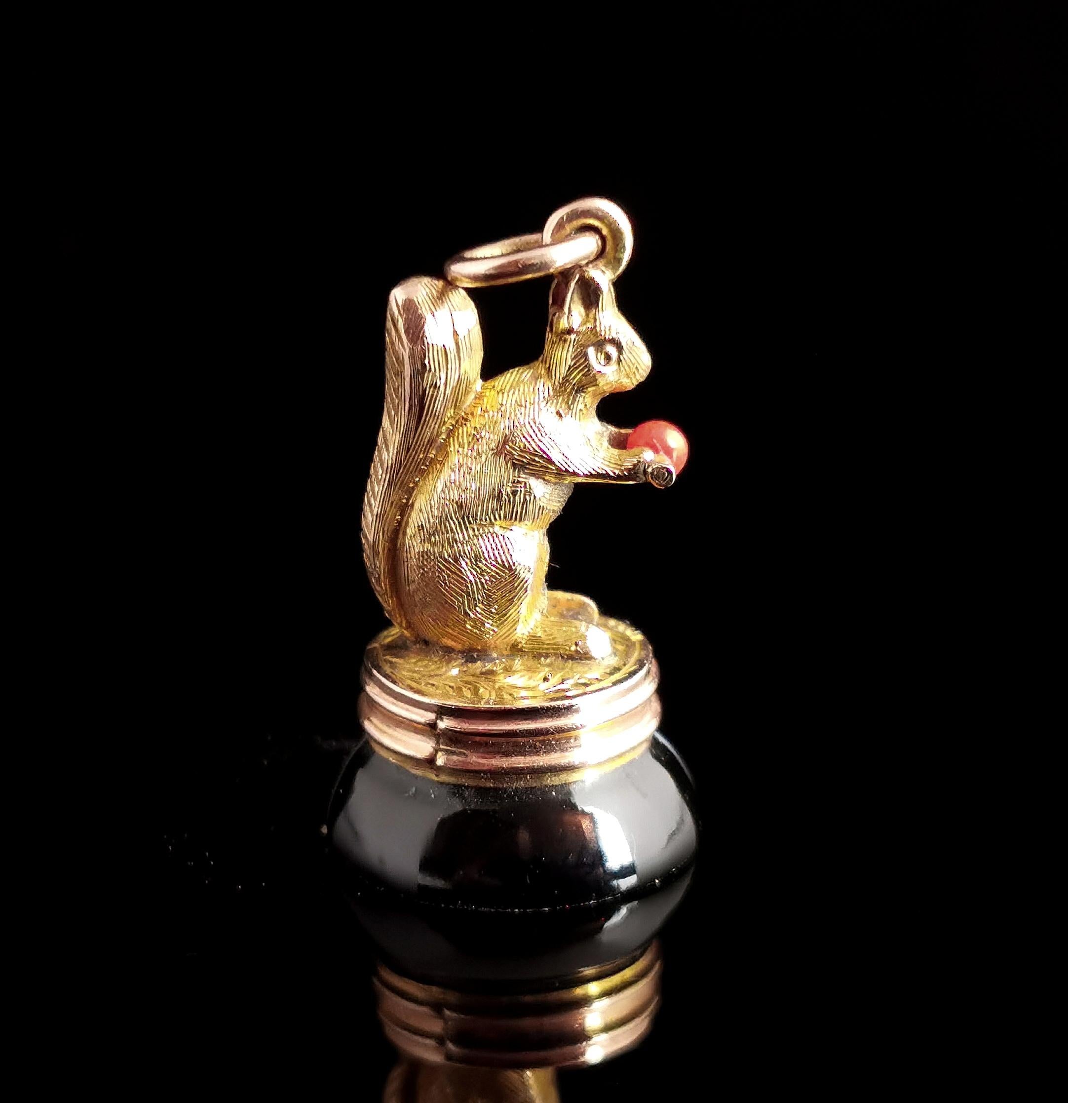A stunning and rare antique 9kt gold seal fob pendant.

A figural seal fob intricately designed as a squirrel holding a nut or acorn made from a tiny red rubrum coral bead.

The matrix is formed from a high polished piece of black banded agate with