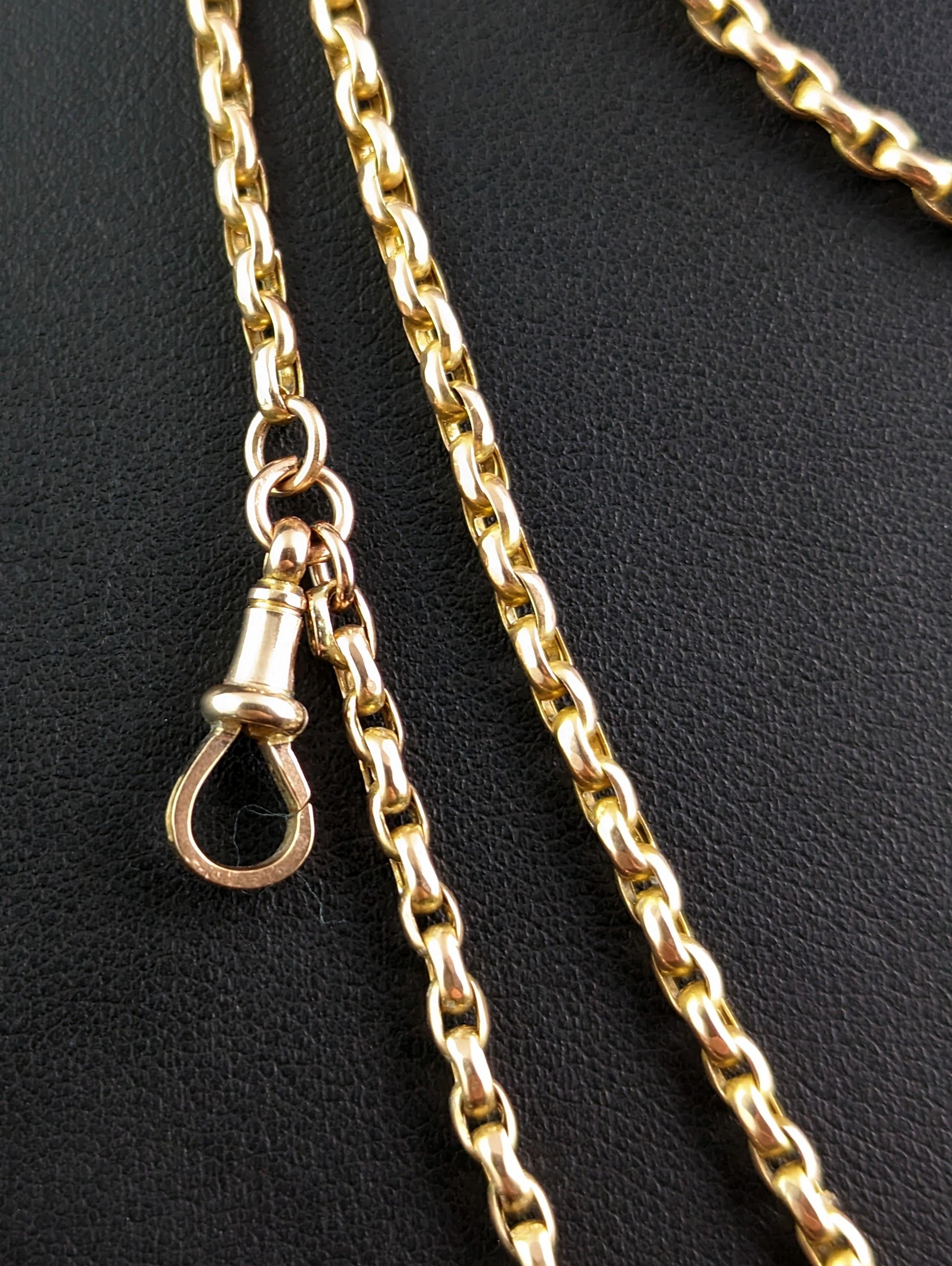 Antique 9k Yellow Gold Long Chain Necklace, Longuard, Victorian For Sale 6
