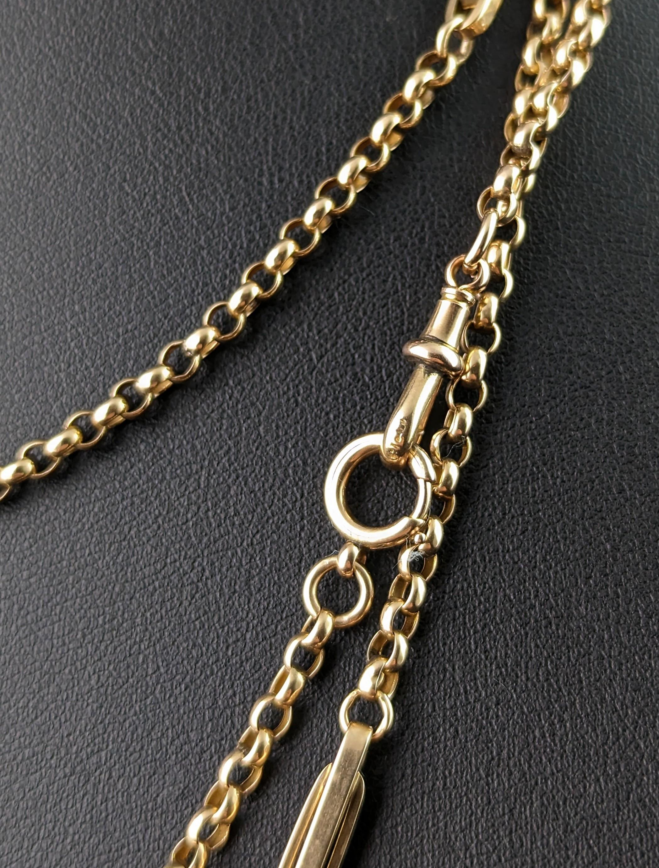 Antique 9 Kt Yellow Gold Fancy Link Long Chain Necklace, Guard Chain, Victorian  For Sale 3