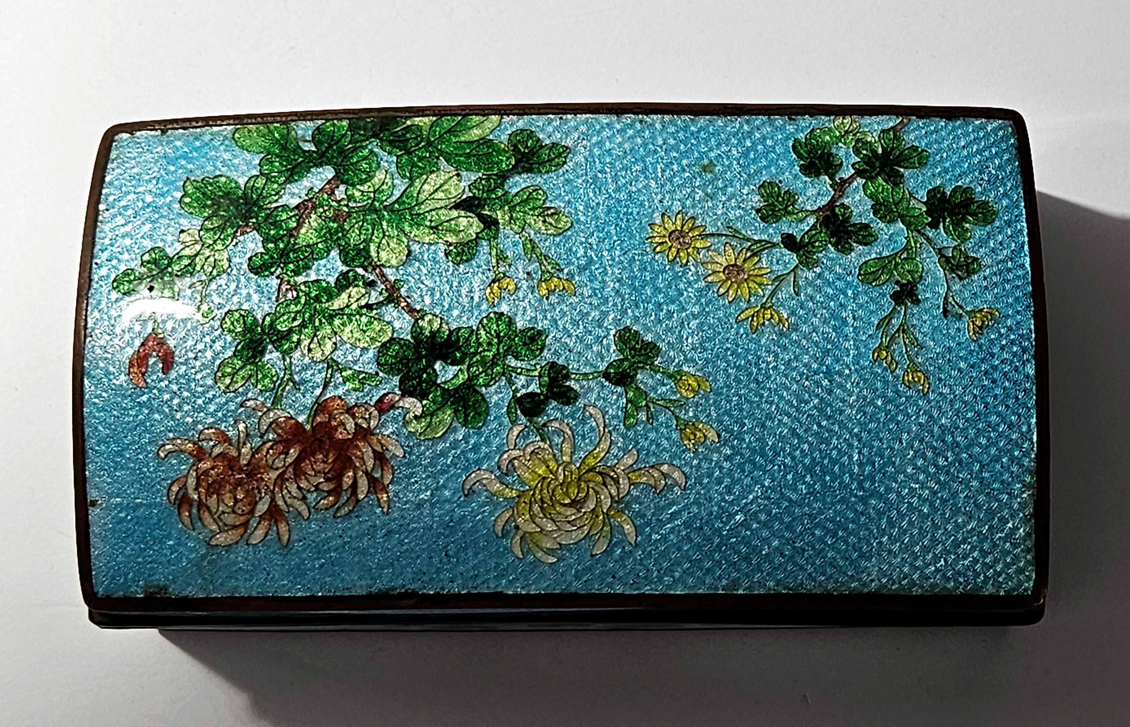 20th Century Antique A Large Ginbari Cloisonne Rectangular Lidded Box, Meiji Period For Sale