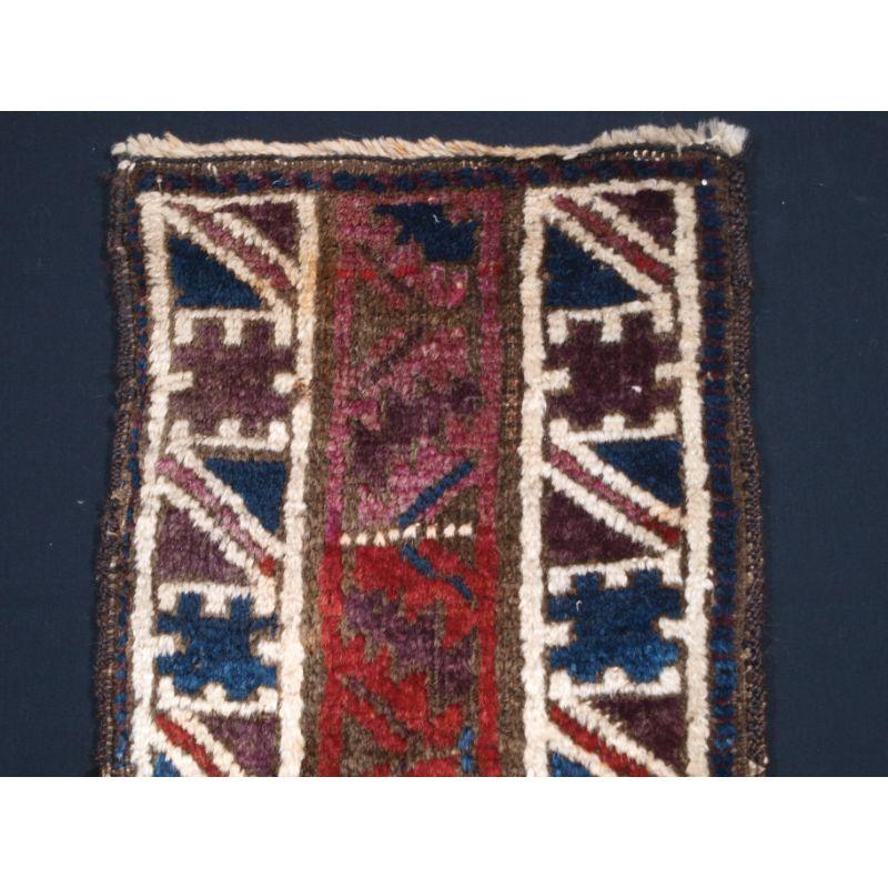 Antique Afghan Baluch animal trapping.

The trapping would have been used to decorate a horse or camel on special occasions. The design is made up of well known designs often found on the borders of Baluch rugs.

The trapping is in good