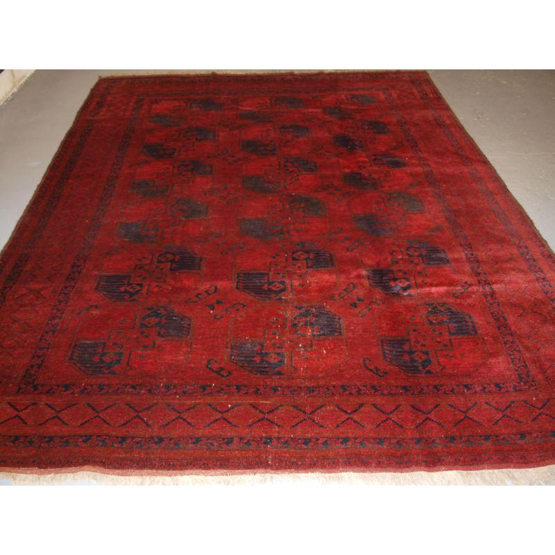 A good Afghan village carpet by Ersari weavers of the Sulayman design.

The carpet has three rows of six large guls, on a very rich red ground. The design in the guls is typical of the Sulayman Ersari from the Andkhoy region of Northern