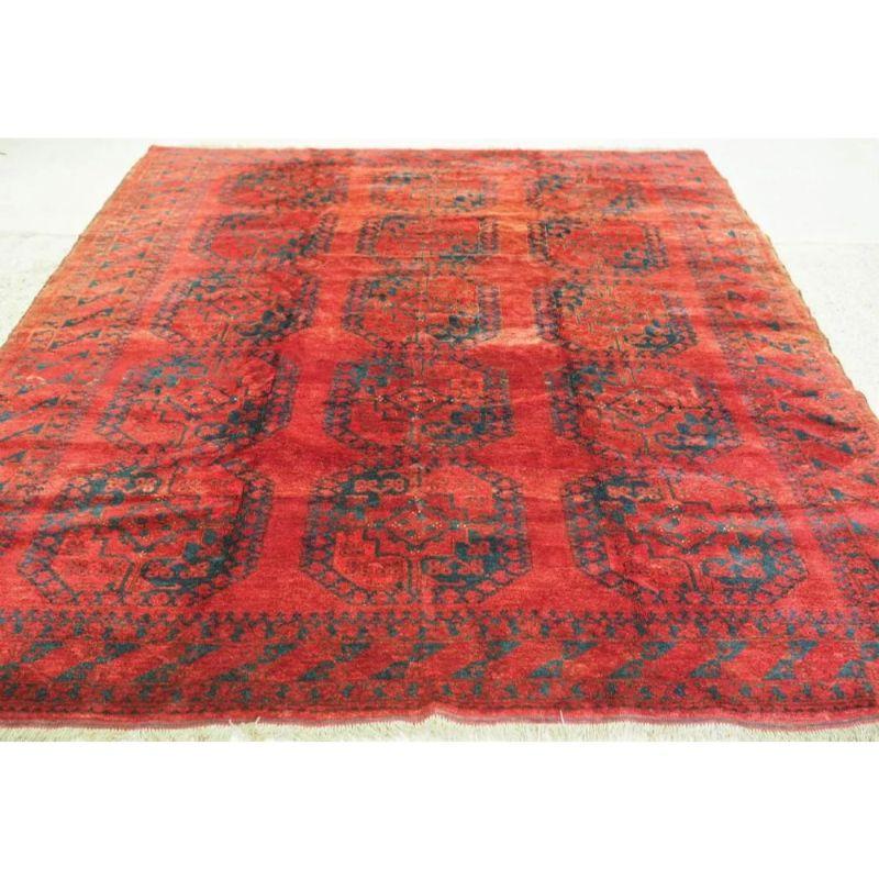 Antique Afghan carpet with traditional Ersari design, this carpet has superb colour with a very good orange / red field. The carpet has three rows of five large guls which are drawn in a very pleasing indigo blue. The carpet is of a very useful room