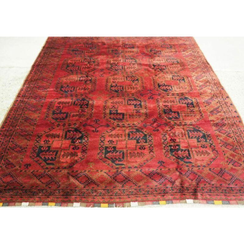 Tapis afghan rouge antique avec un design traditionnel Ersari, ce tapis a une superbe couleur avec un très bon champ rouge chaud. Le tapis comporte quatre rangées de six grandes bosses dessinées dans un bleu indigo moyen très agréable.

Le tapis