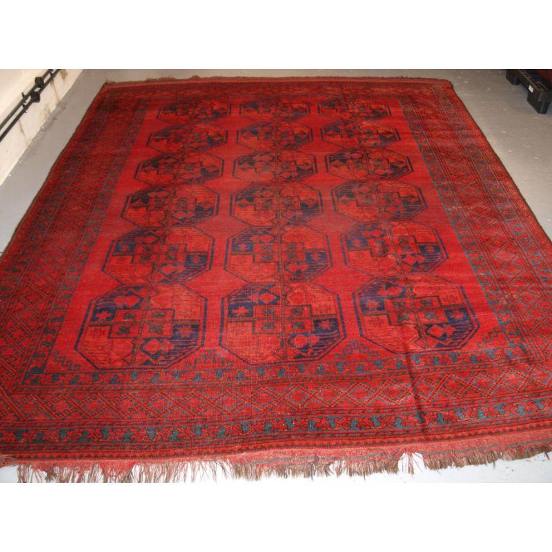 Antique Afghan Sulayman carpet with traditional design, a carpet of superb colour.

The carpet is of a clear red field colour with superb highlights in blues and blue greens. There are 3 rows of 6 guls of large size, the border design is a typical