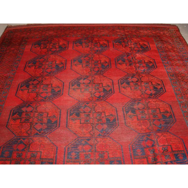 19th Century Antique Afghan Sulayman Carpet For Sale