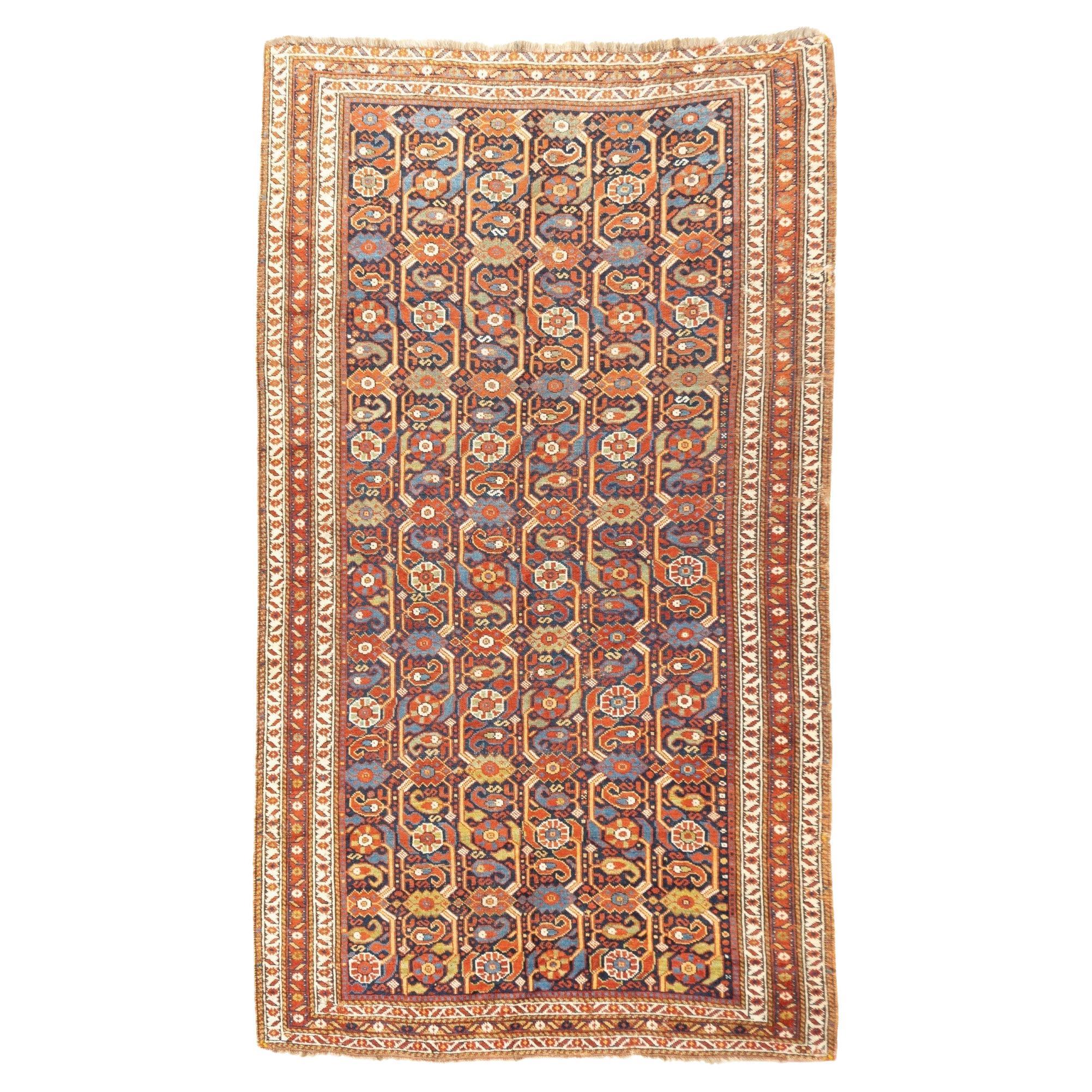 Tapis Afshar antique 5'0" x 8'11''