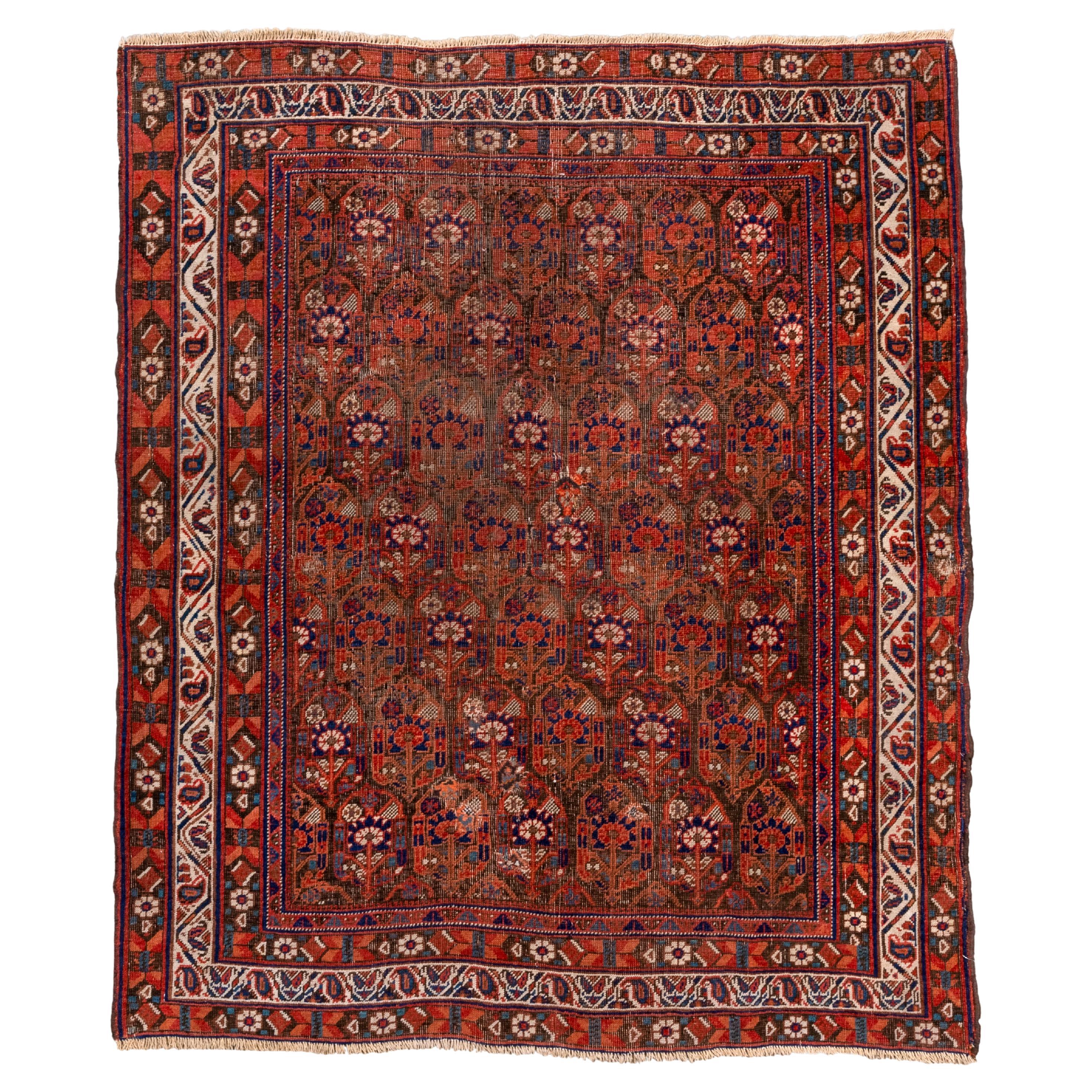 Tappeto Afshar antico con colori scuri in vendita