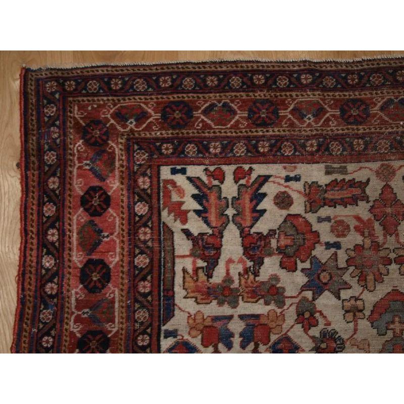 Antique Afshar rug of 'vase' design on an ivory ground. This is a scarce rug of very fine weave, the design is a large vase with a floral spray surrounded by flowers and leaves with stars. The borders are beautifully drawn examples of classic Afshar