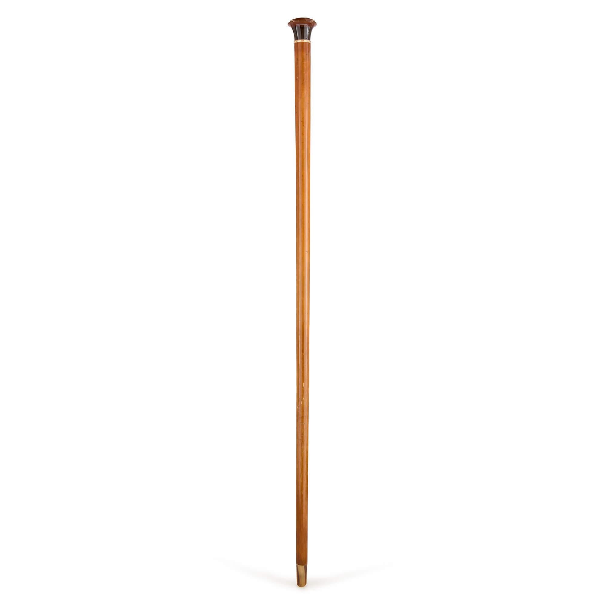 European Antique Agate Mounted and Cameo Inset Walking Stick For Sale