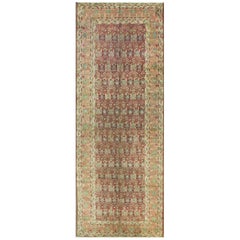 Antique Agra Gallery/ Runner/ Rug