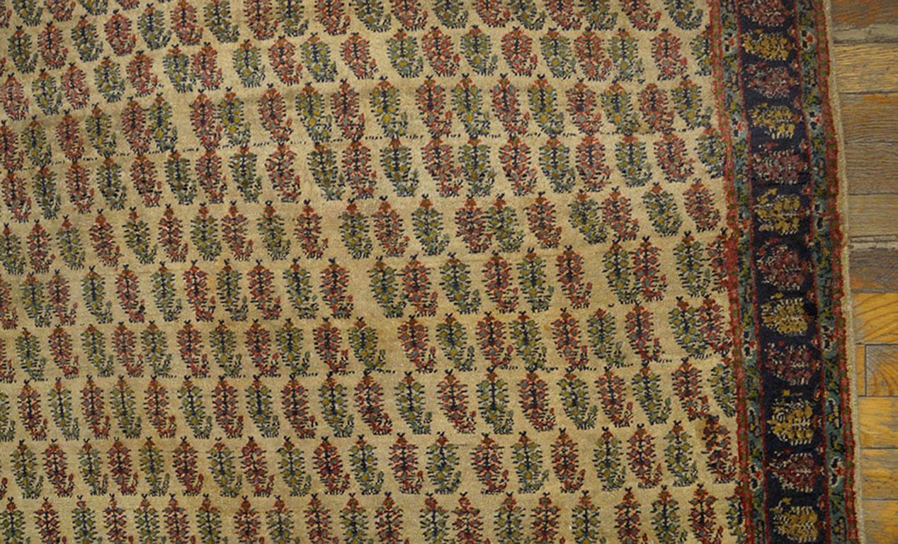 Wool Early 20th Century N. Indian Agra Paisley Carpet ( 5'2