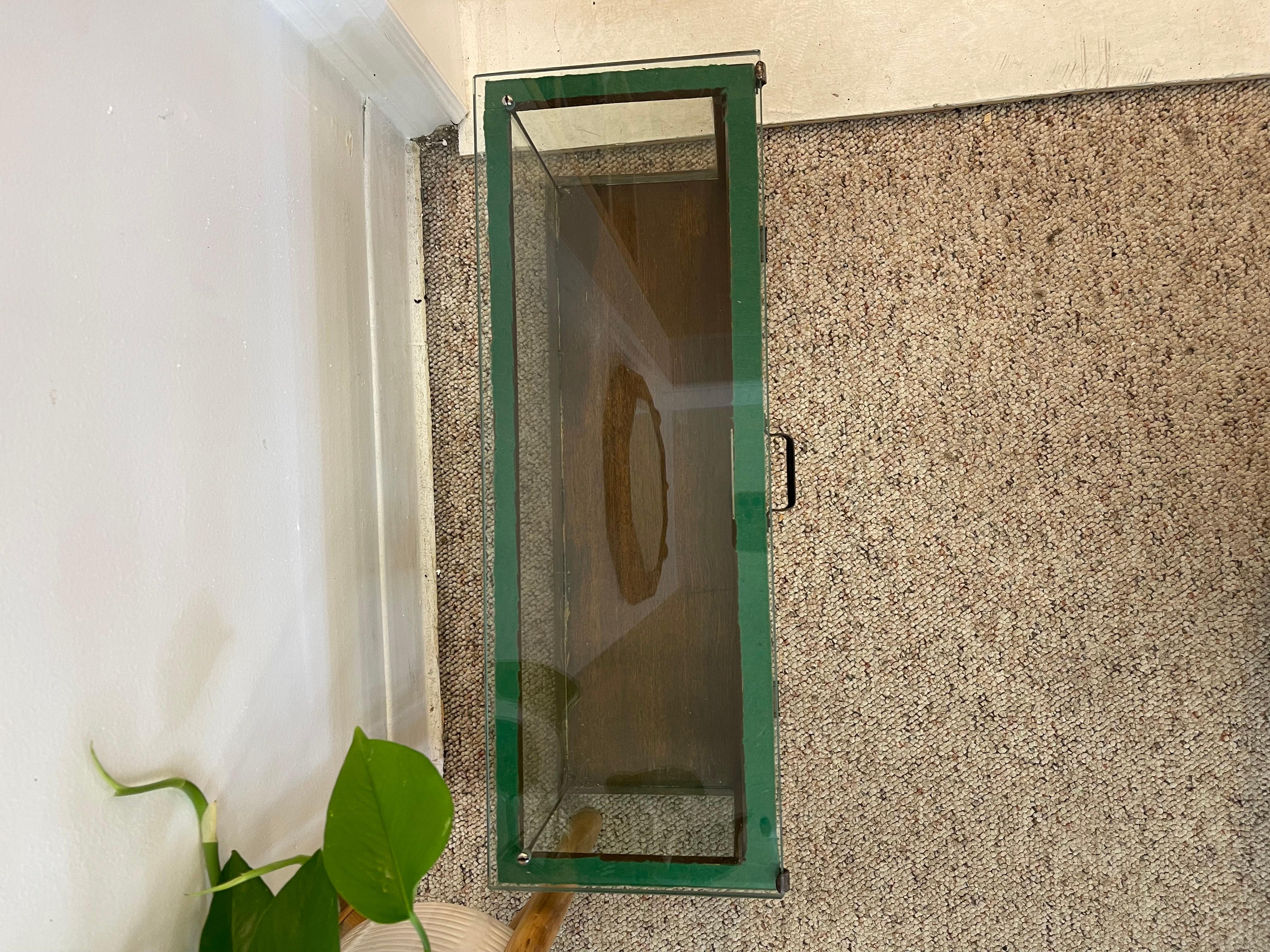 Antique Alfred Noack Oak and Glass Countertop Display Case with Brass Hardware. For Sale 6