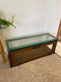 Antique Alfred Noack Oak and Glass Countertop Display Case with Brass Hardware