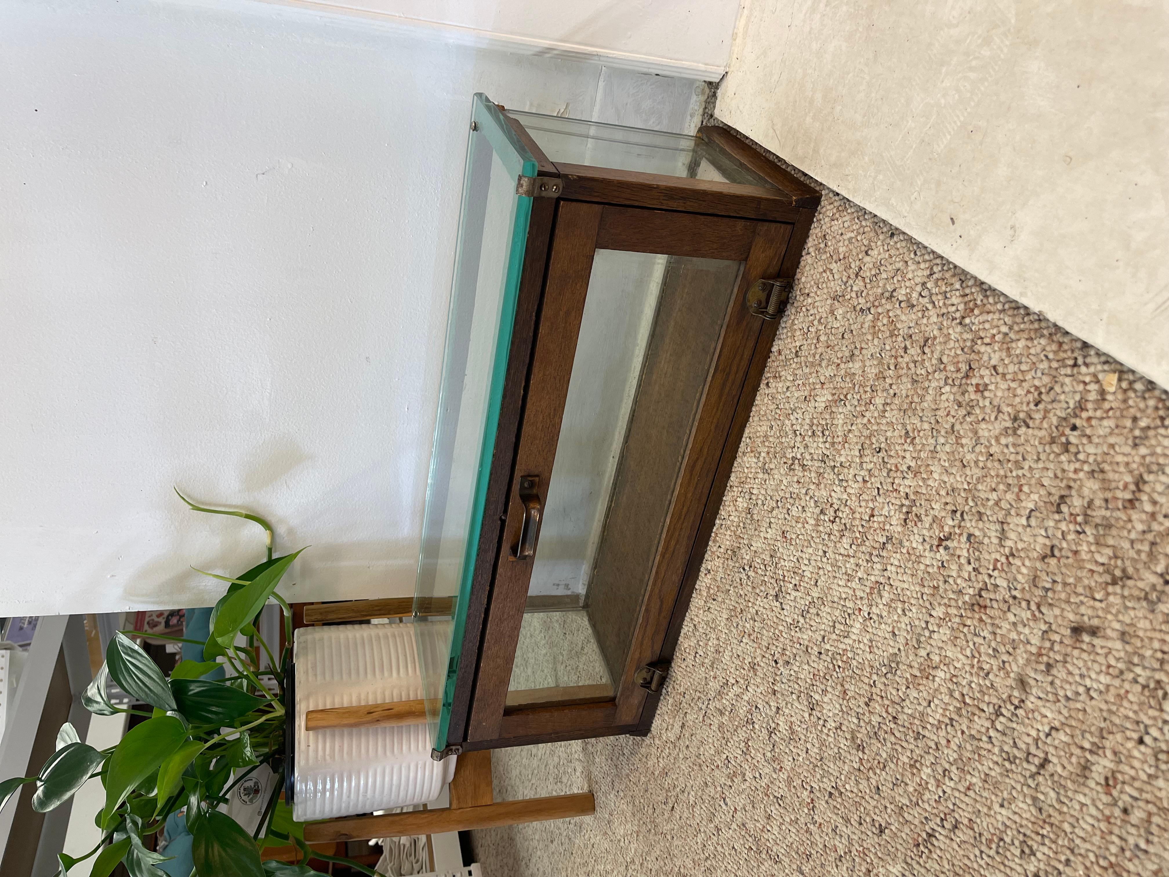 Mid-Century Modern Antique Alfred Noack Oak and Glass Countertop Display Case with Brass Hardware. For Sale
