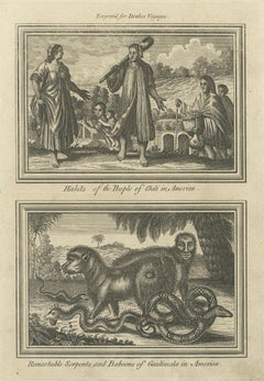 Antique America Engraving Chile Natives & Guatemala Serpents Drake, 1771