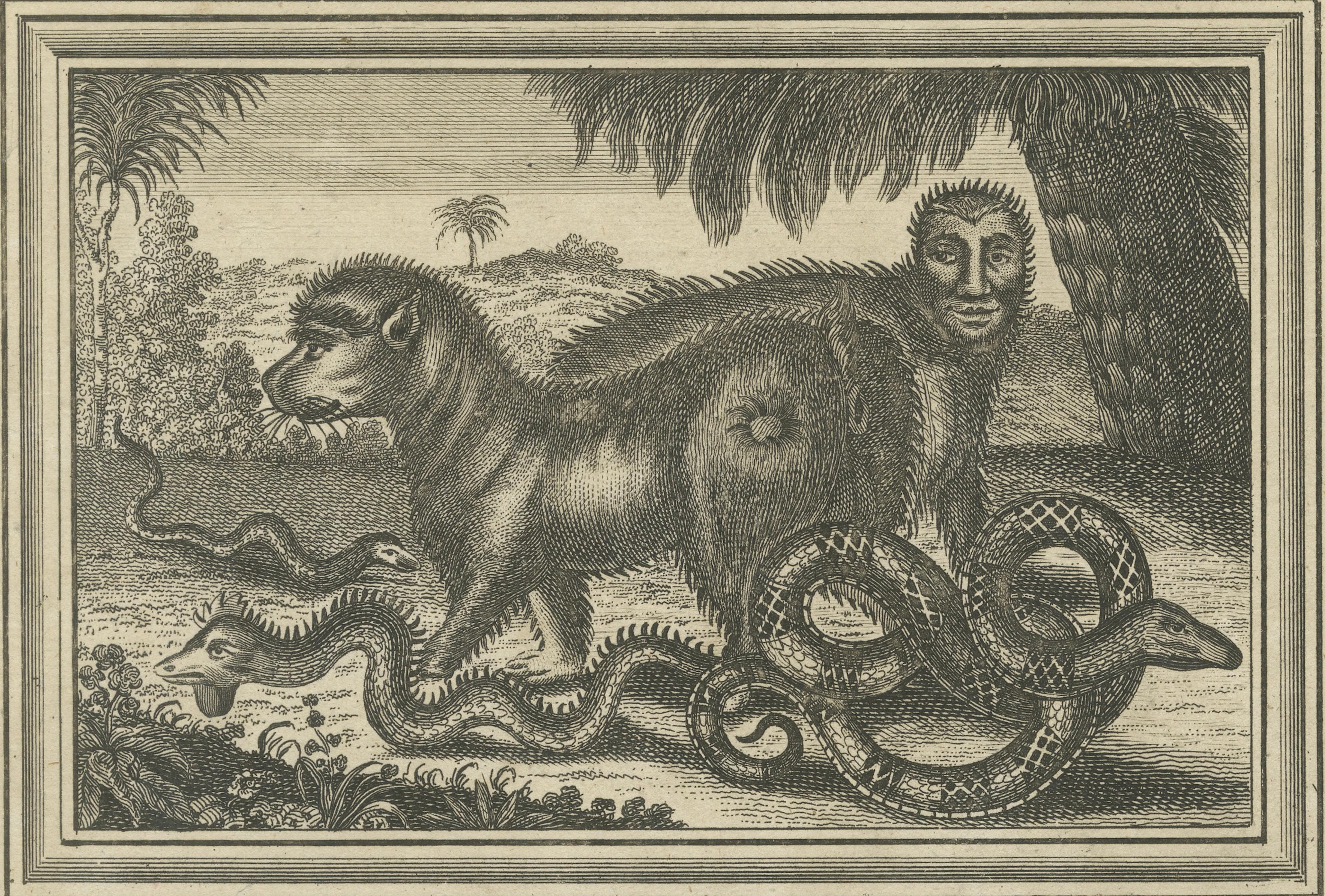 Antique America Engraving Chile Natives & Guatemala Serpents Drake, 1771