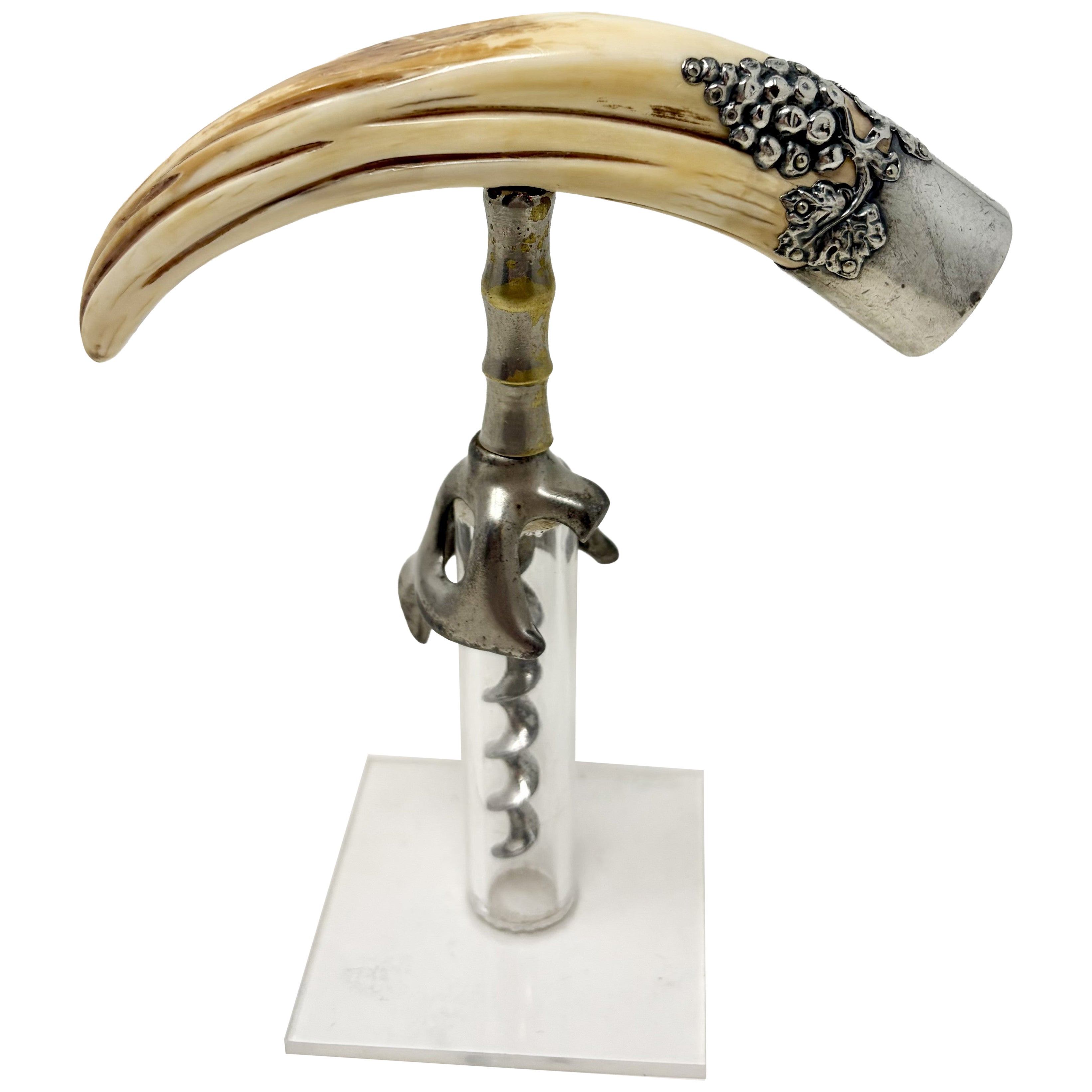 Antique American Boar's Tusk Corkscrew Sterling Silver Mount with Grapes ca 1890 For Sale