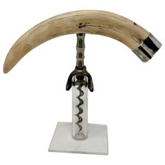 Antique American Boar's Tusk Corkscrew with Sterling Silver Mounts, Circa 1880's