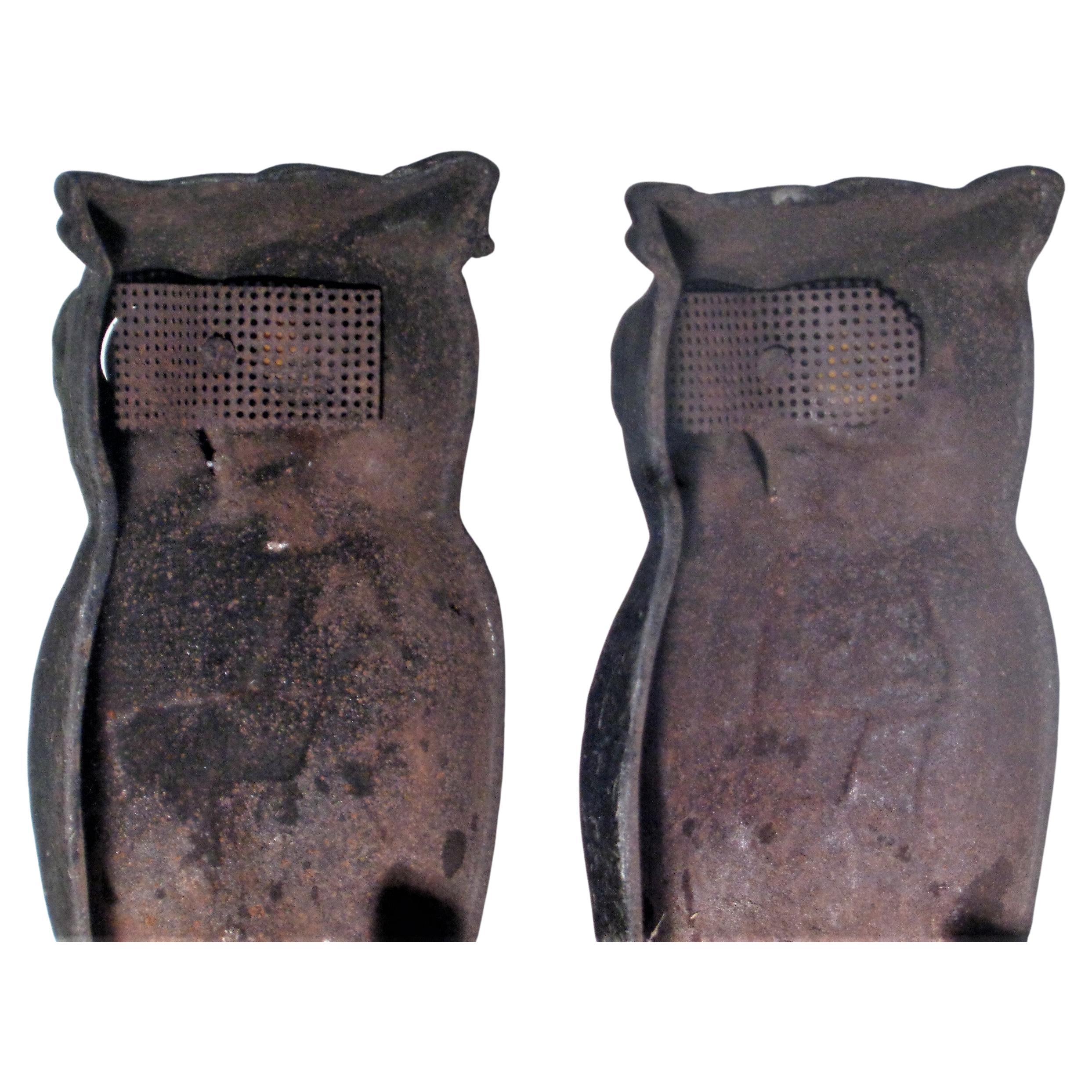 Antique American Cast Iron Owl Andirons w/ Original Glass Eyes, Circa 1900 1