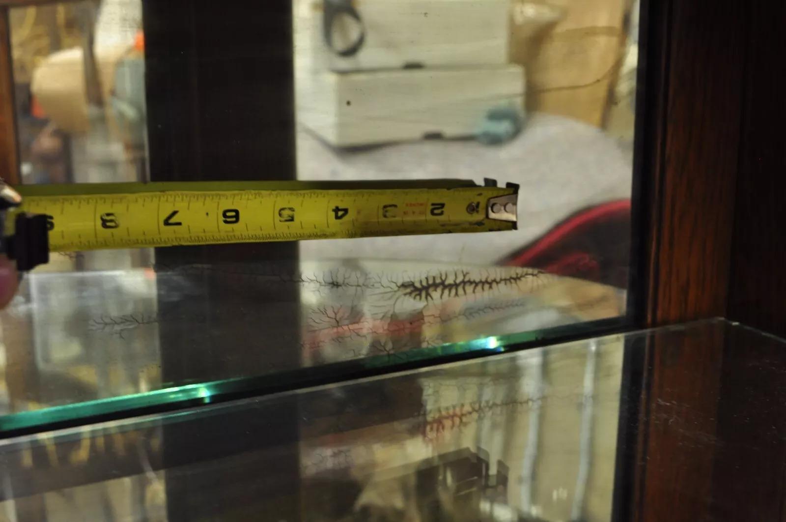 Antiker viktorianischer amerikanischer Empire-Schrank Curio aus Eichenholz und geschwungenem Glas, China im Angebot 3