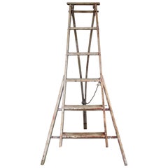 Vintage American Folding A-Frame Orchard Ladder