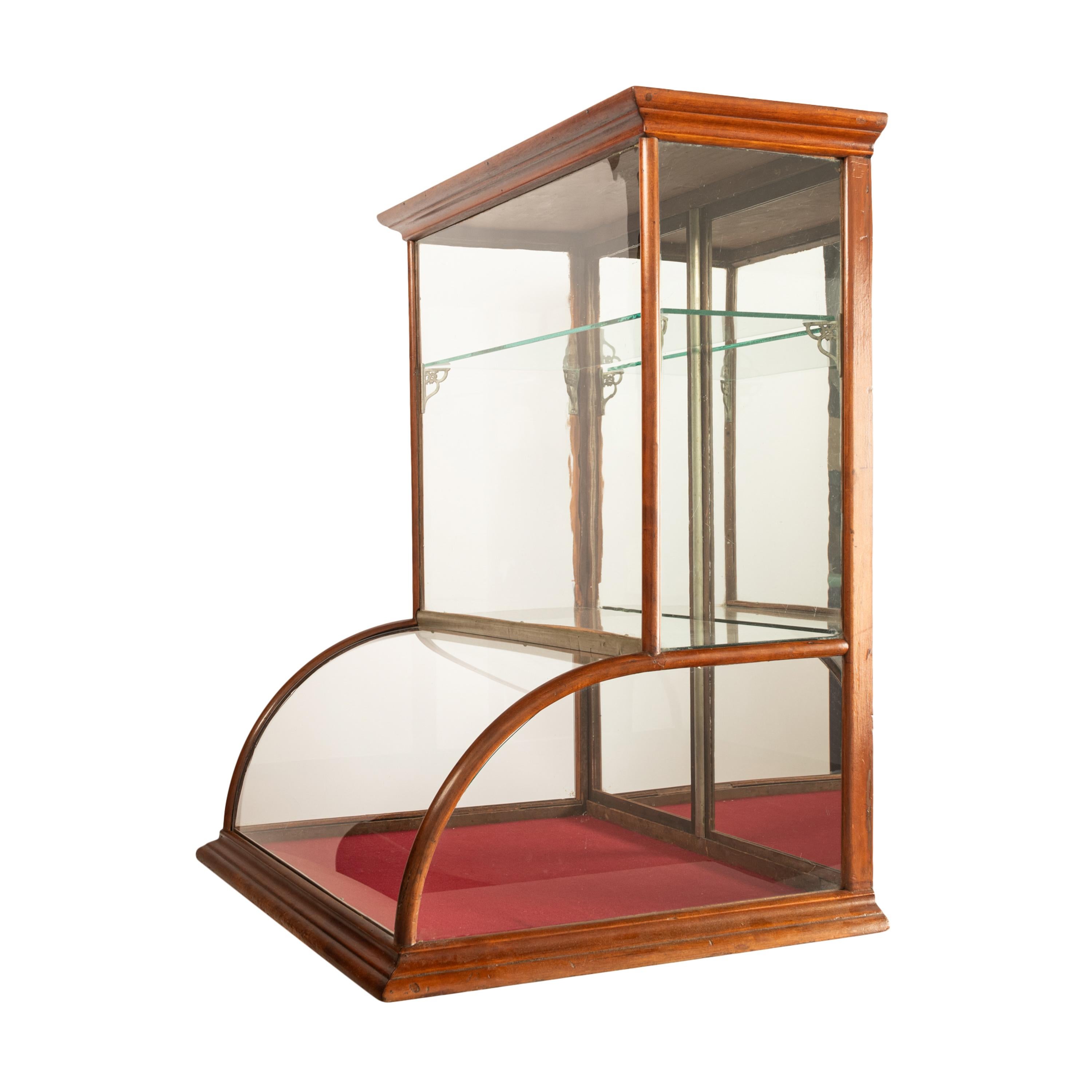 American Craftsman Ancienne vitrine de comptoir en chêne à verre bombé pour épicerie américaine