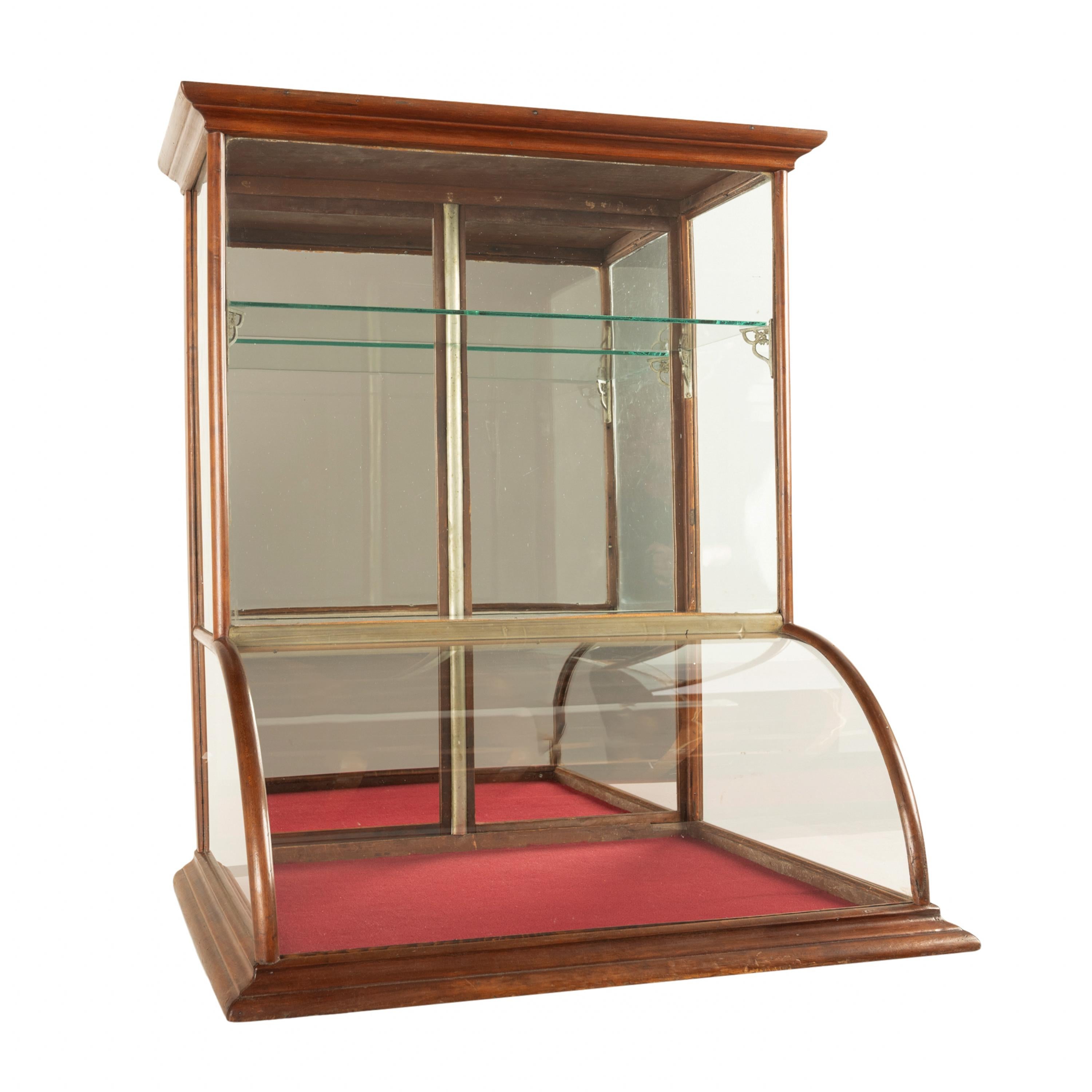 Antique American Mercantile Store Curved Glass Oak Counter Top Display Cabinet In Good Condition In Portland, OR