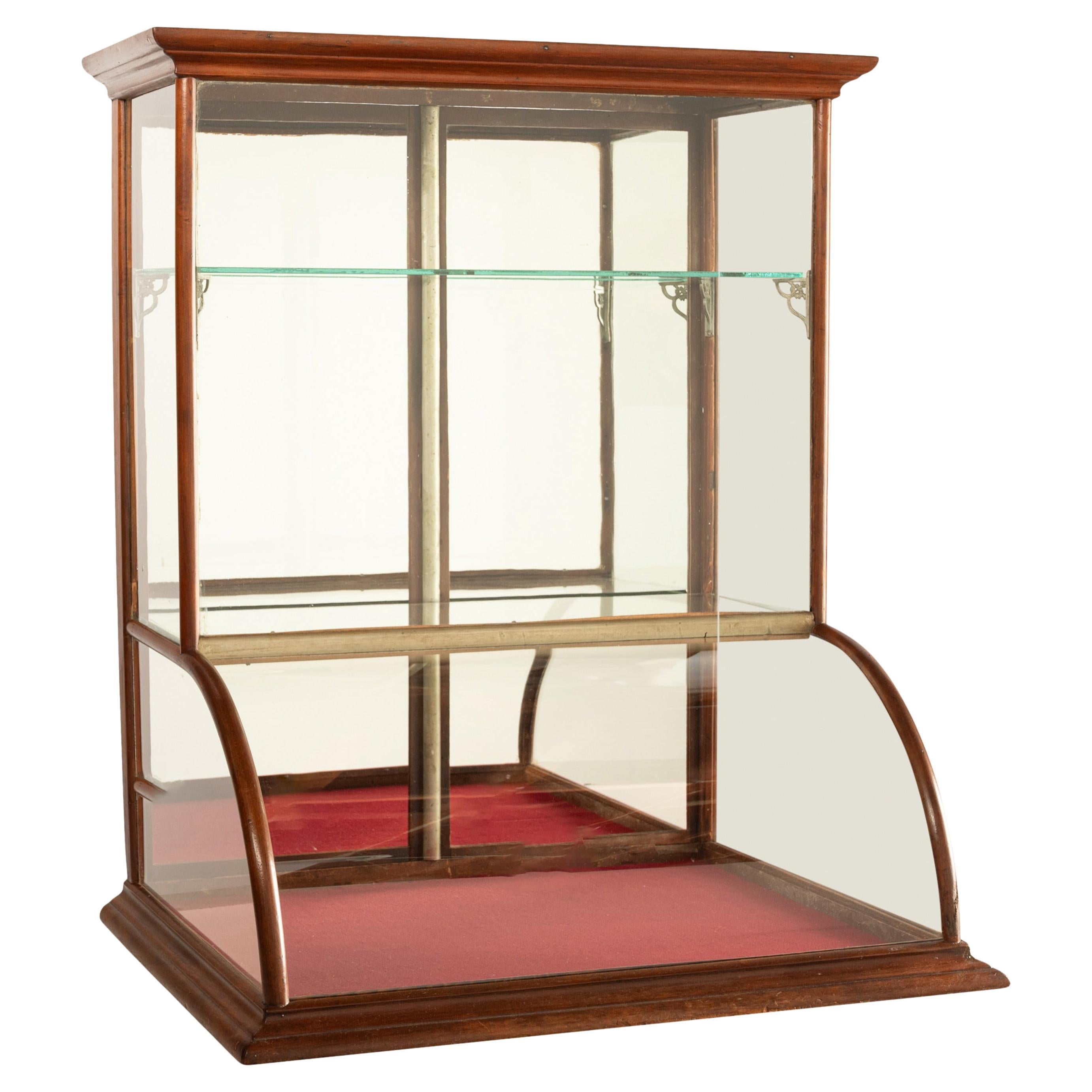 Ancienne vitrine de comptoir en chêne à verre bombé pour épicerie américaine